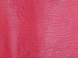 Morceau de cuir de requin - Rouge - maroquinerie - Cuir en Stock