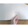 Bande de collet tannage végétal lisse - Naturel - Cuir en Stock