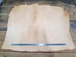 Collet de cuir de vache naturel – Végétal 2ᵉ choix