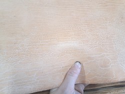 Collet de cuir de vache naturel – Végétal 2ᵉ choix