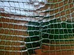 Peau de cuir de crocodile véritable - Vert anglais - Cuir en Stock