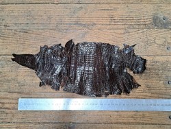 Peau de cuir de crocodile véritable - Marron - Cuir en Stock