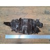Peau de cuir de crocodile véritable - Marron - Cuir en Stock