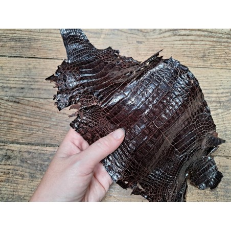 Peau de cuir de crocodile véritable - Marron - Cuir en Stock