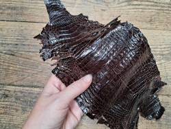 Peau de cuir de crocodile véritable - Marron - Cuir en Stock