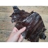Peau de cuir de crocodile véritable - Marron - Cuir en Stock