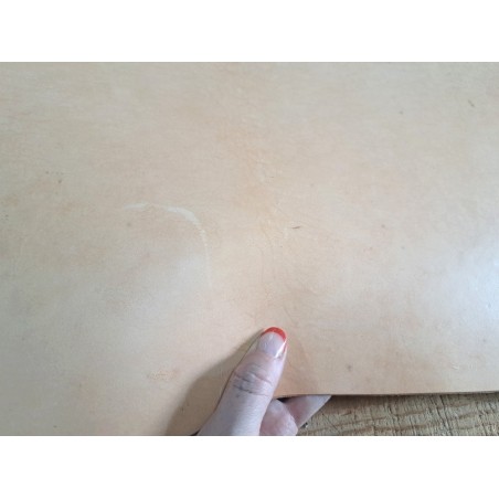 Collet de cuir de vache – Tannage végétal raide 2ᵉ choix