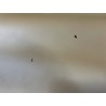 Croûte de cuir de veau pigmentée – SABLE - 2ème choix - Cuir en Stock