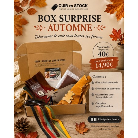 BOX SURPRISE 🍂 Automne 🍂  - Découverte du cuir - Cuir en Stock - cuirenstock