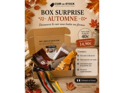 BOX SURPRISE 🍂 Automne 🍂  - Découverte du cuir - Cuir en Stock - cuirenstock