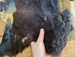 Peau de mouton lainé - CHOIX ÉCART - C - Cuir en stock