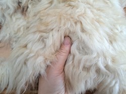 Peau de mouton lainé - CHOIX ÉCART - D - Cuir en stock