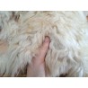 Peau de mouton lainé - CHOIX ÉCART - D - Cuir en stock