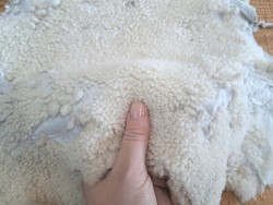 Peau de cuir de mouton lainé - Choix écart - F - Cuirenstock