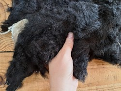 Peau de mouton lainé - CHOIX ÉCART - G - Cuir en stock