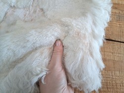 Peau de mouton lainé - CHOIX ÉCART - I - Cuir en stock