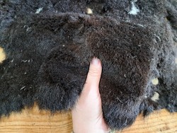 Peau de cuir de mouton lainé - Choix écart - J - Cuirenstock
