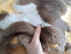 Peau de cuir de mouton lainé - Choix écart - L - Cuirenstock