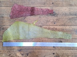 lot cabillaud - rose-verte métallisée- cuir en stock
