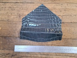 Morceau de cuir de crocodile véritable couleur gris - Cuir en Stock