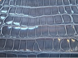 Morceau de cuir de crocodile véritable couleur gris - Cuir en Stock