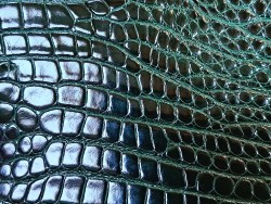 Peau de cuir de crocodile véritable - Vert anglais - Cuir en Stock