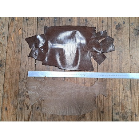 Lot de 2 peaux de cuir de lézard - E -  Cuirenstock