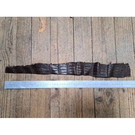 Queue de crocodile - Marron mat - Cuir en Stock