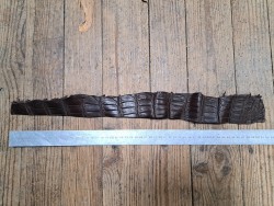 Queue de crocodile - Marron mat - Cuir en Stock