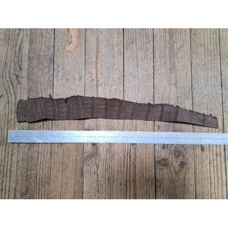 Queue de crocodile - Marron mat - Cuir en Stock