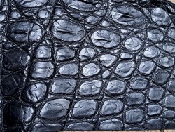 Morceau de cuir de crocodile - Noir mat - Cuir en Stock