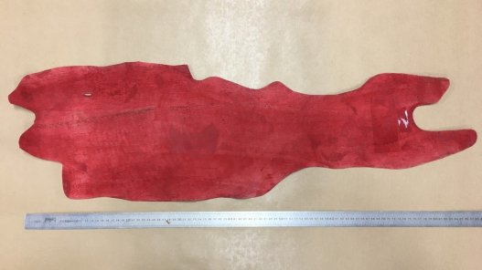 peau de cuir de requin rouge Cuir en Stock