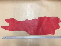 peau de cuir de requin rouge Cuir en stock