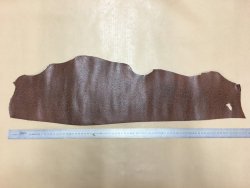 peau de cuir de requin brun cuirenstock