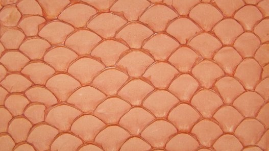 Cuir de poisson tilapia orange mat bijoux accessoire maroquinerie Cuir en stock