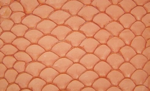 Cuir de poisson tilapia orange mat bijoux accessoire maroquinerie Cuir en stock