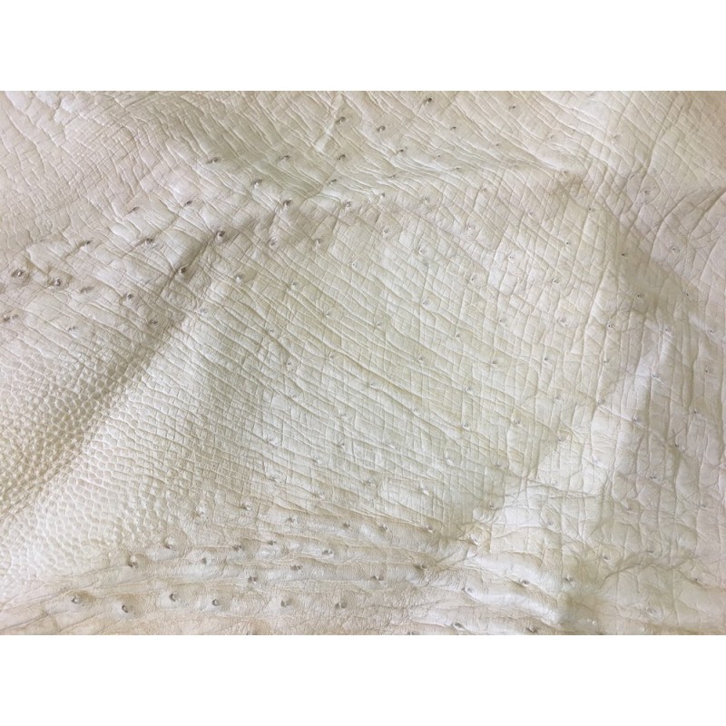 Morceau de cuir d'autruche véritable beige Cuir en stock Morceau de cuir d'autruche véritable beige Cuir en stock