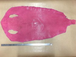 Grande peau de poisson véritable galuchat rose gros grain Cuir en Stock