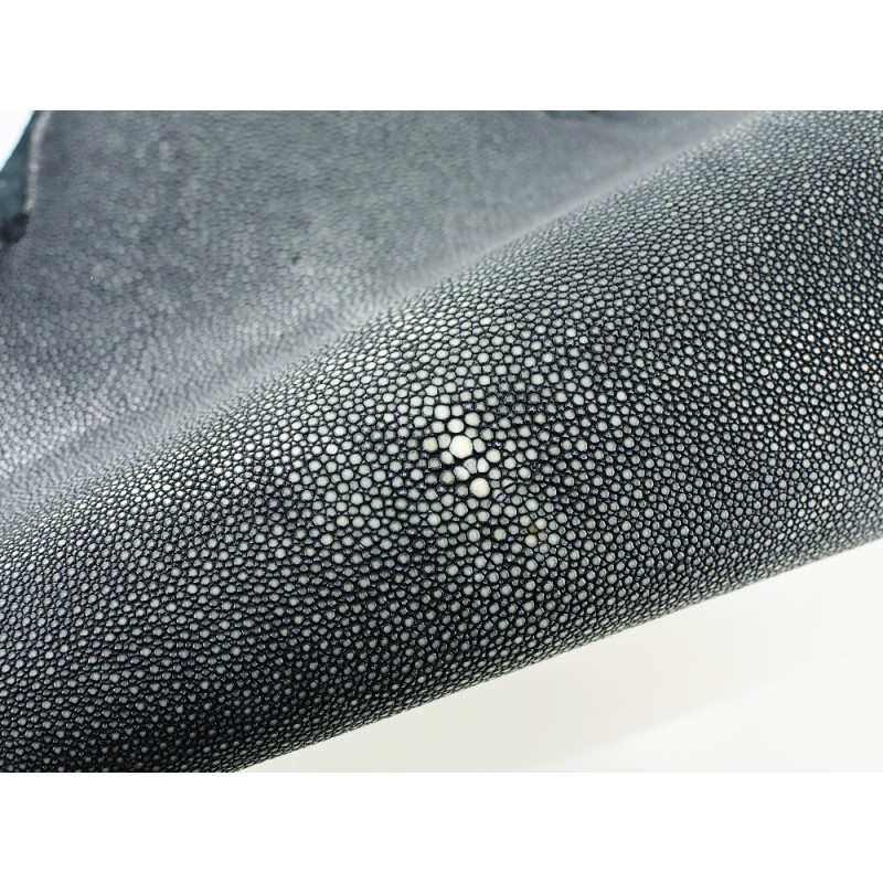 Grande peau de cuir de poisson galuchat noir véritable Cuir en stock Grande peau de cuir de poisson galuchat noir véritable Cuir en stock