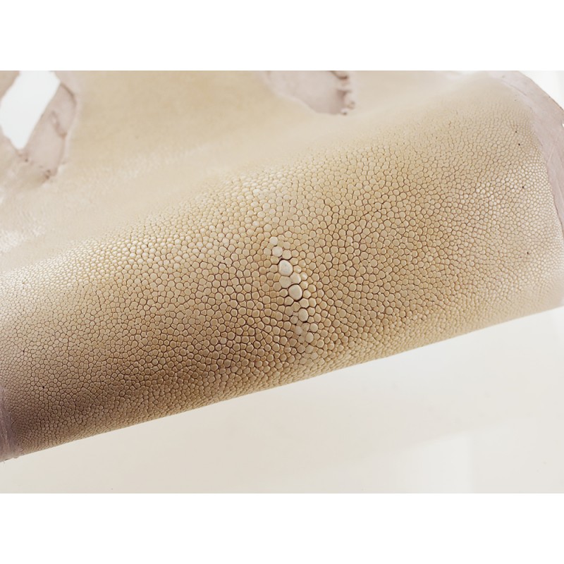 Peau de cuir de poisson véritable galuchat beige exotique Cuir en Stock Peau de cuir de poisson véritable galuchat beige exotique Cuir en Stock