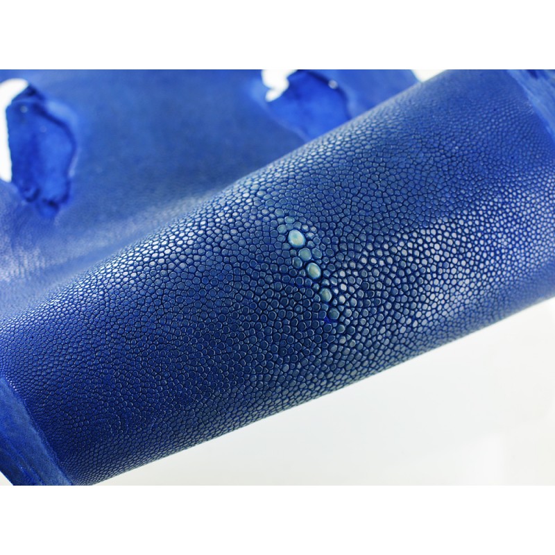 Peau de cuir de poisson galuchat gros grain poli bleu Cuir en Stock Peau de cuir de poisson galuchat gros grain poli bleu Cuir en Stock