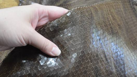 Détail grain serpent brun finition naturelle cuir en stock