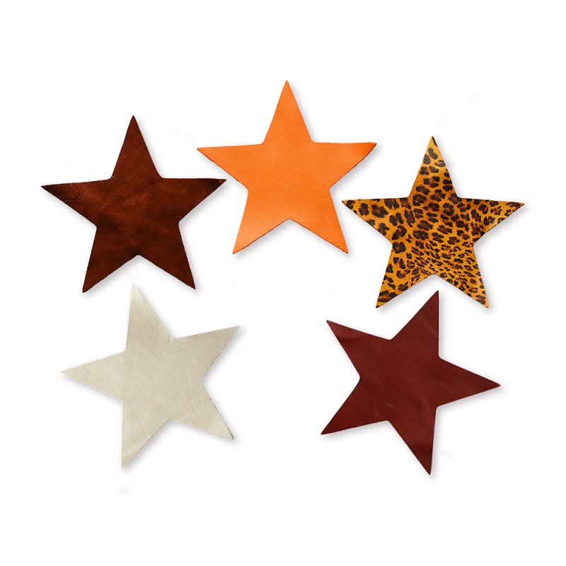 Lot surprise morceaux de cuir étoile 14 cm - Petit Prix - Cuirenstock