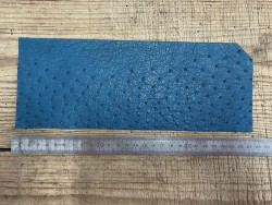 Morceau de cuir d'autruche bleu pétrole accessoire bijou Cuir en Stock