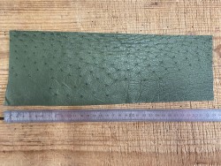 Morceau rectangulaire de cuir d'autruche vert kaki avec picots luxe bijou Cuir en stock