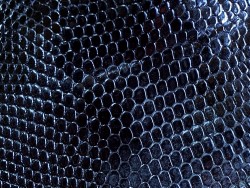 Cuir de lézard noir détail du grain de peau accessoire bijou marqueterie Cuirenstock