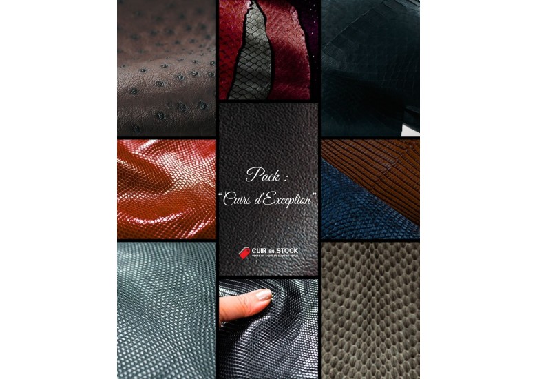 Cuirs d’Exception : quand le savoir-faire de 7 générations rencontre les trésors du luxe ressourcé