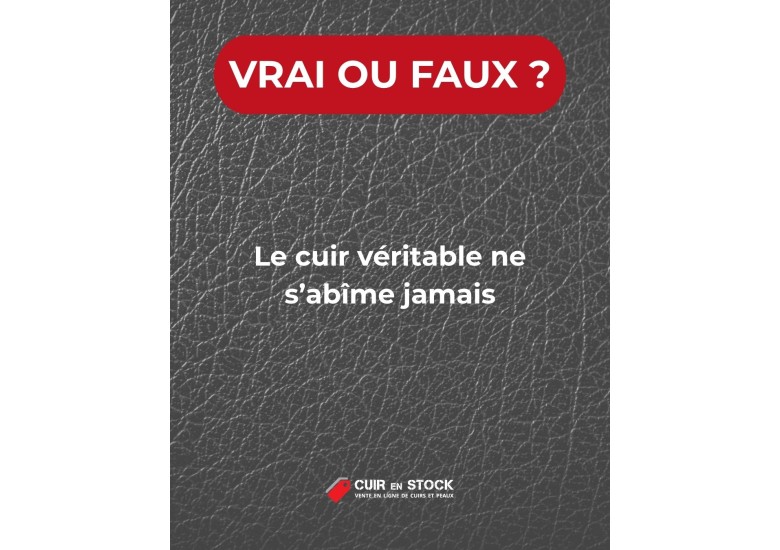 Quiz du cuir question 1 : Le cuir véritable ne s'abîme jamais ?