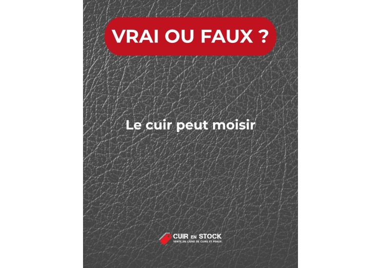 Quiz du cuir QUESTION 17. Le cuir peut moisir