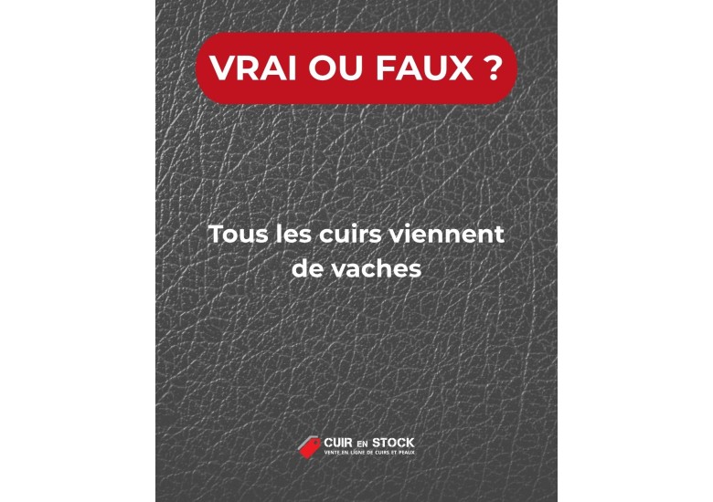 Quiz du cuir QUESTION 18. Tous les cuirs viennent de vaches